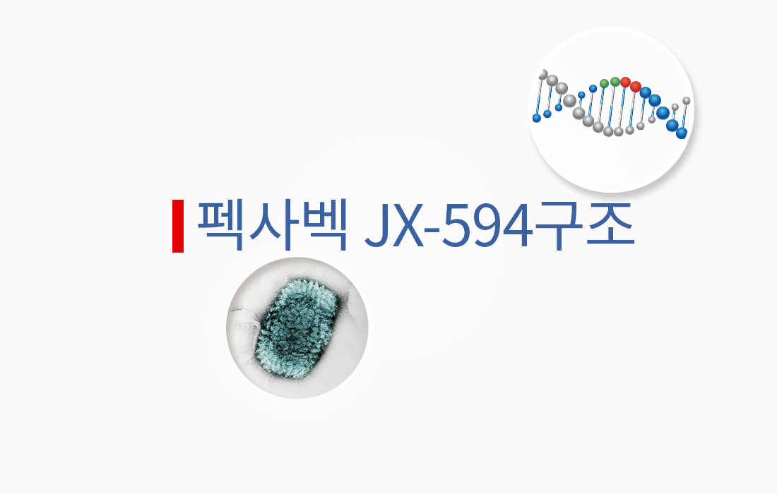 펙사벡 JX-594 구조