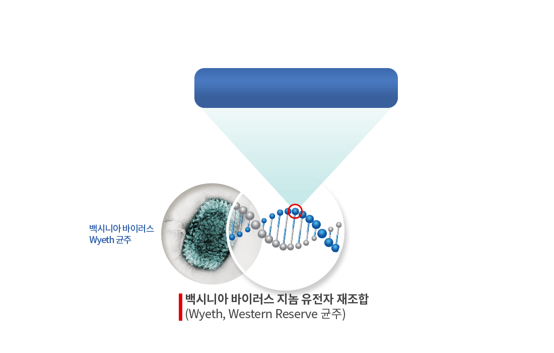 DNA 확대 이미지